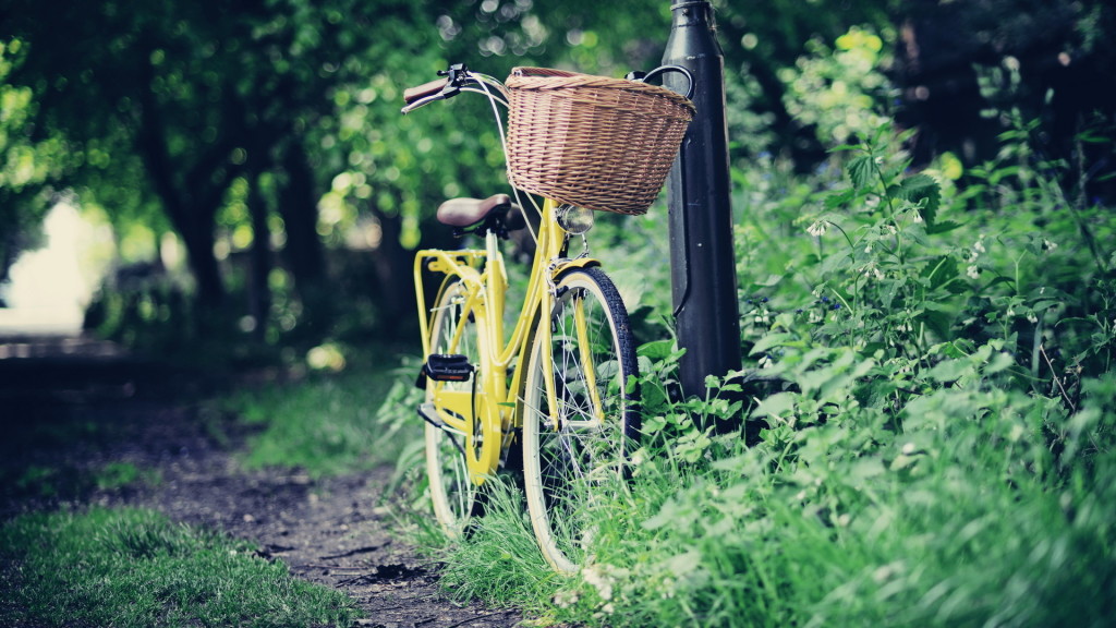 velosiped