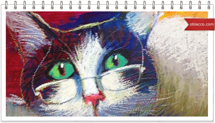 cat Jeff Leedy 