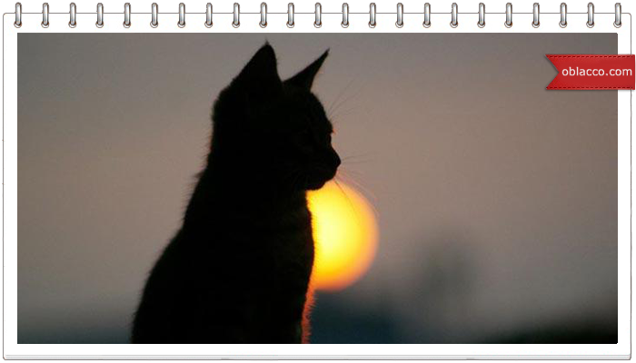Кошки-статуэтки из бумажных трубочек