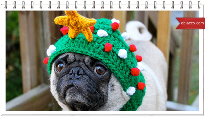 mops