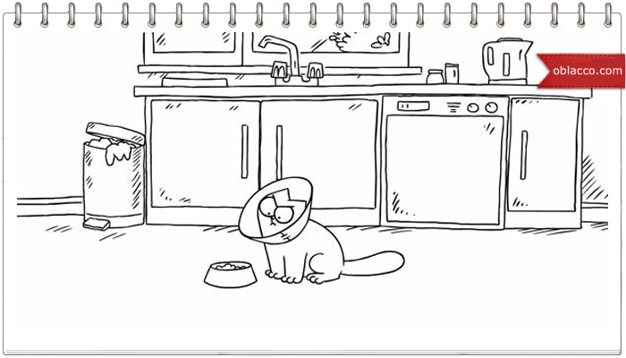saimon's cat and mops