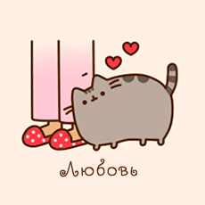 koshki gifki