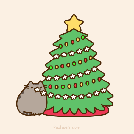 koshki gifki