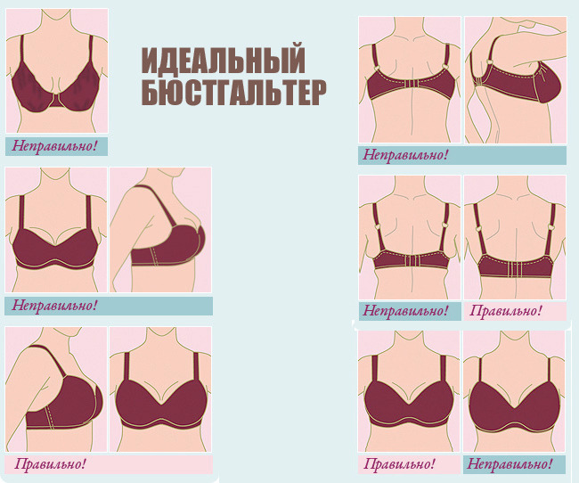 идеальный бюстгалтер