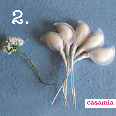 tsveti2
