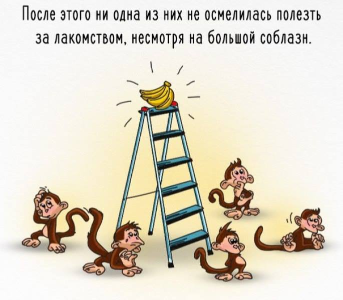 обезьяны эксперимент
