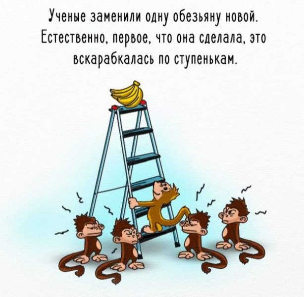 обезьяны эксперимент