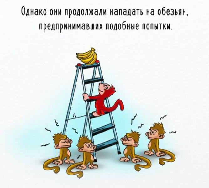 обезьяны эксперимент