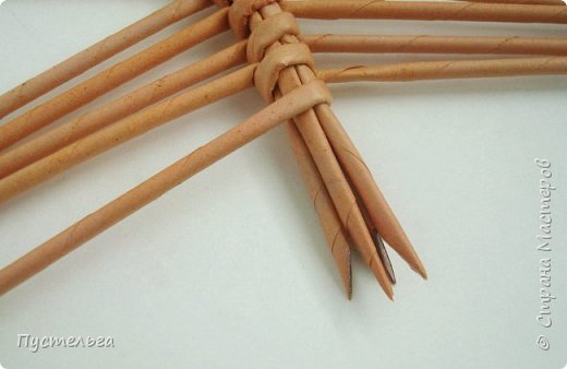 бабочка