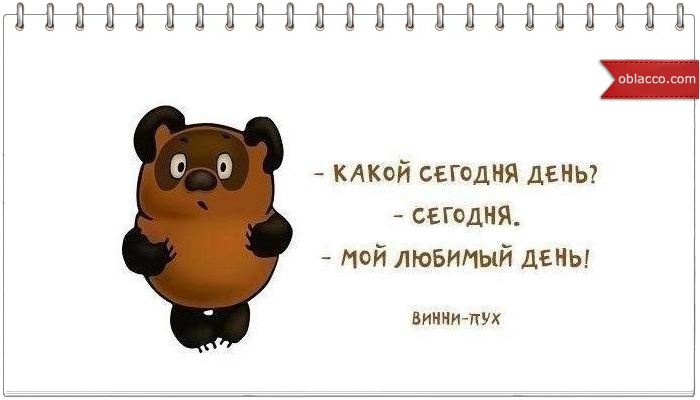 Сегодня. Мой любимый день. Пух