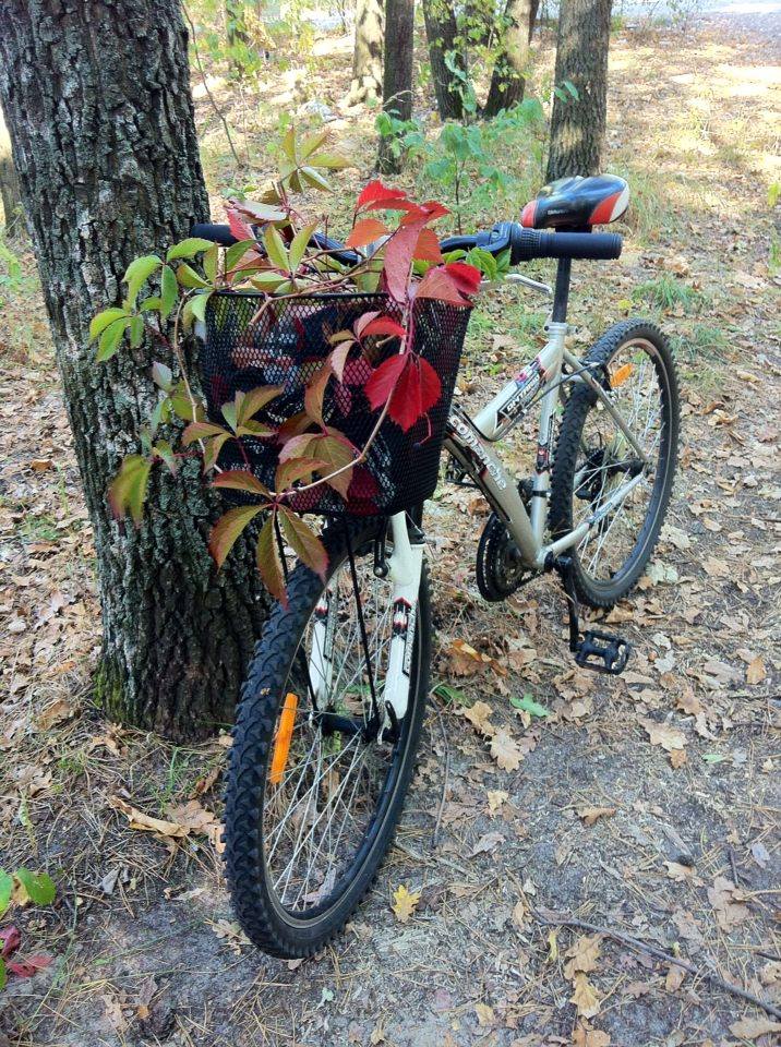velosiped