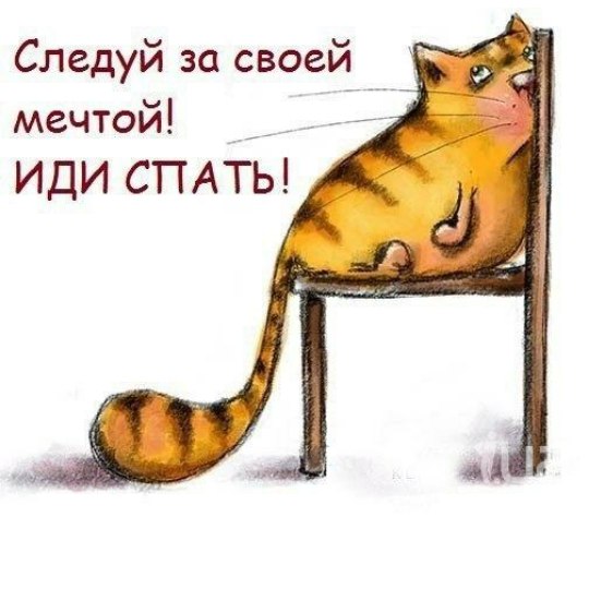 kot