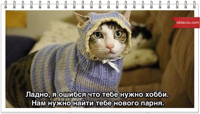 Почему кошки любят играть с клубками