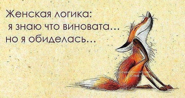 женская логика