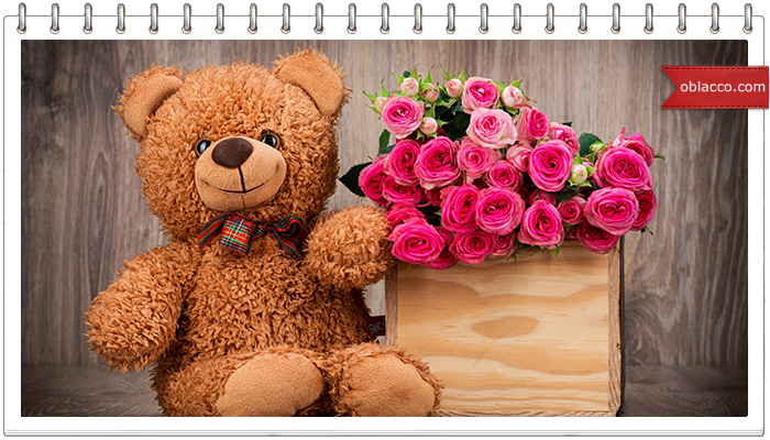 Феномен плюшевого медведя