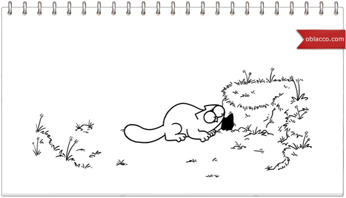 Simon's Cat. Игра