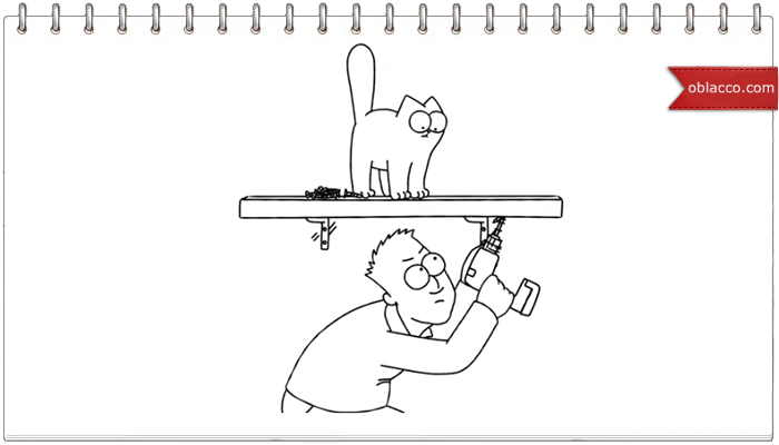 Кот Саймона, про полку