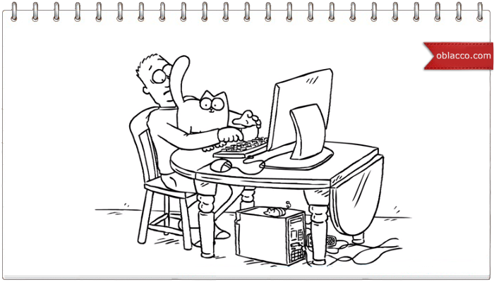  Simon's Cat. Люди, руководство к действию