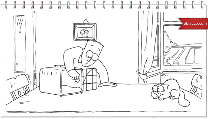 Simon's Cat, обморок
