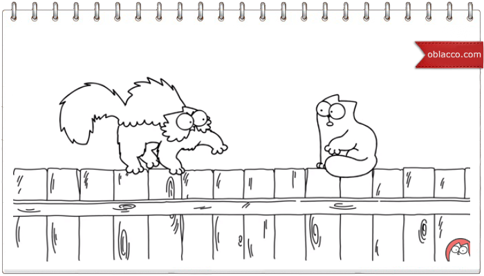 На заборе. Simon's Cat
