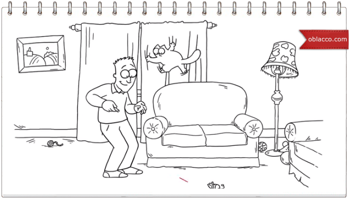 9 вещей для счастья кота. Simon's Cat